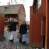 hvor mange skritt om dagen